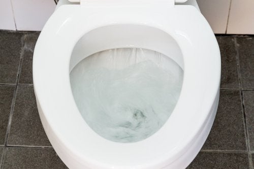  A Clean Toilet with a White Seat and Lid in Jacksonville, FL